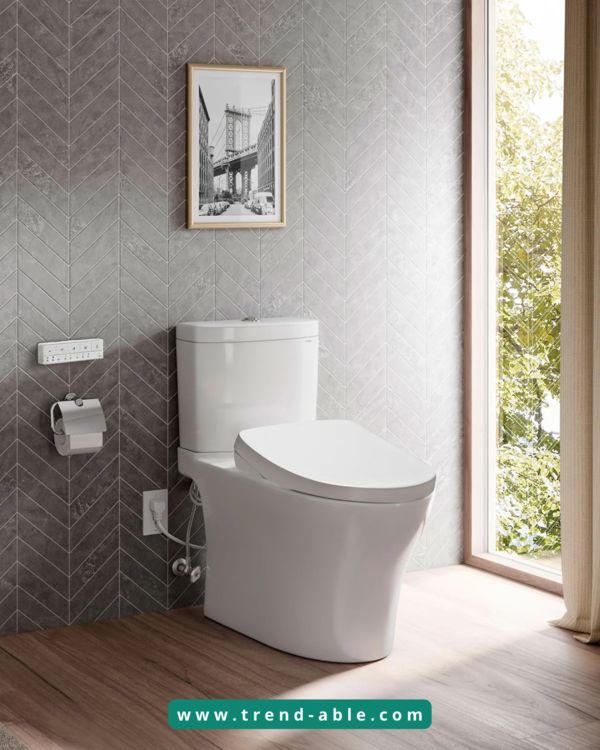 Extra-Large Butt Wipes + The Electric Lamborghini of Toileting for CMT Hands 2 Extra-Large Butt Wipes + The Electric Lamborghini of Toileting for CMT Hands 2